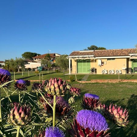 Willa Il Giardino Di Nunzia Principina Terra Zewnętrze zdjęcie
