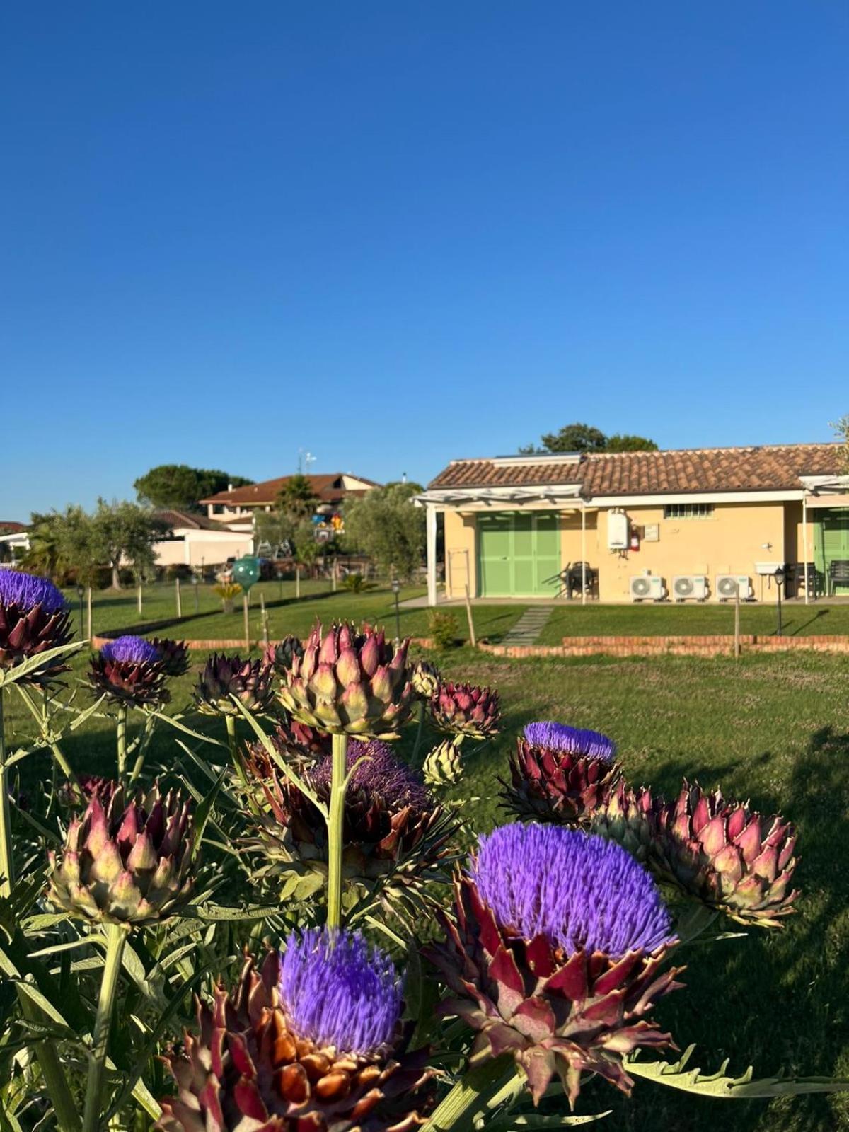 Willa Il Giardino Di Nunzia Principina Terra Zewnętrze zdjęcie
